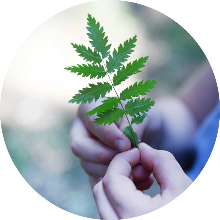 Kind mit Blatt: Impression von den Wald- und Heldentagen in Hollenstedt mit Conny Stein